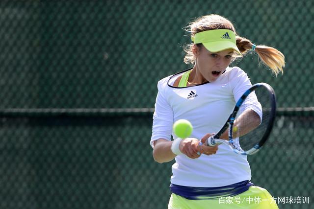 提供了展示 提供了展示